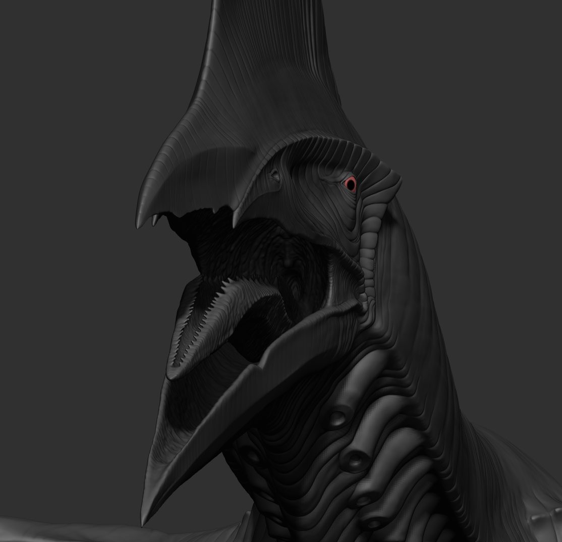 Bull.Falcon (@FalconBull) / Posts / X