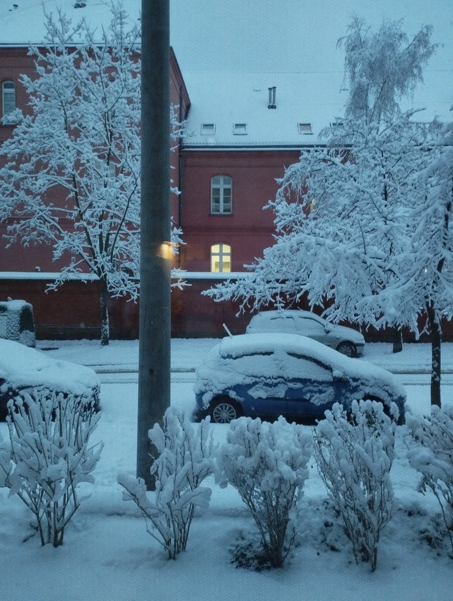 Meiisallinrecov's tweet image. SNOWWWWSWS THERE&apos;S SNOWWWWW SO MUCH MUCH SNOWWW