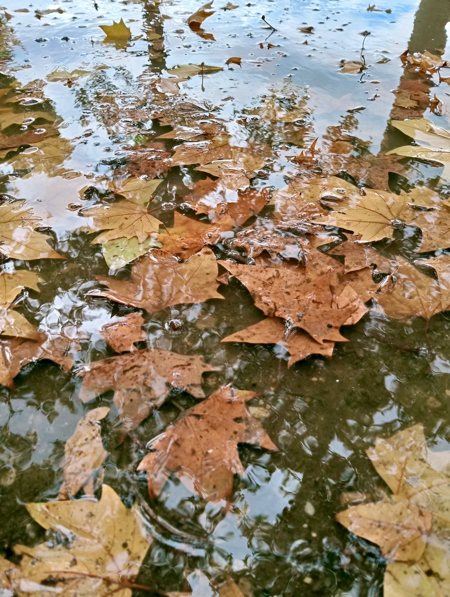 "Se plores per auer perdut eth solei, es lèrmes non te deisharàn vèir es esteles."

✓R. Tagore

#Bondia des de #Lhèida!!☺️🤗

#Dimecresdepiuladaenaranès

Trad.-
Si plores per haver perdut el sol, les llàgrimes no et deixaran veure les estrelles.