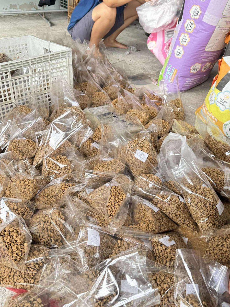 milkliku's tweet image. RT มีใครลงใต้บ้างไหมค่ะ 

ต้องการหารถส่งอาหารน้องหมา น้องแมว จากนครศรี ไป สตูล  🐶🐱
📞โทร.0639800263 ป๊อป
#น้ําท่วม
#น้ําท่วมภาคใต้
#น้ําท่วมสตูล #น้ำท่วมหาดใหญ่