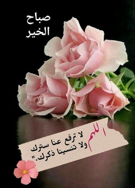 #صباح_الخير_والسعاده 
#صباح_الخير_والسعاده_للجميع