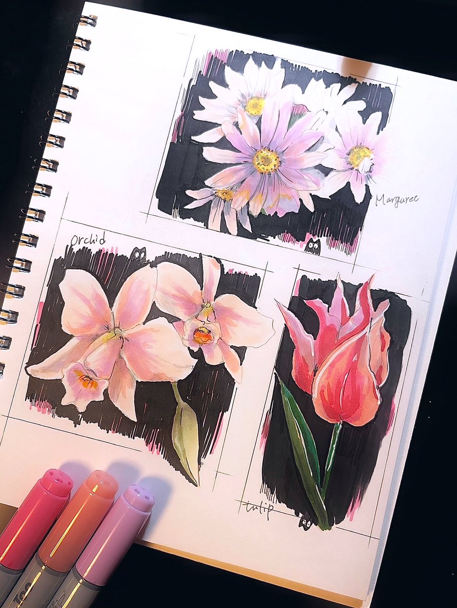 SACHI (@sasasa0506) / Posts / X