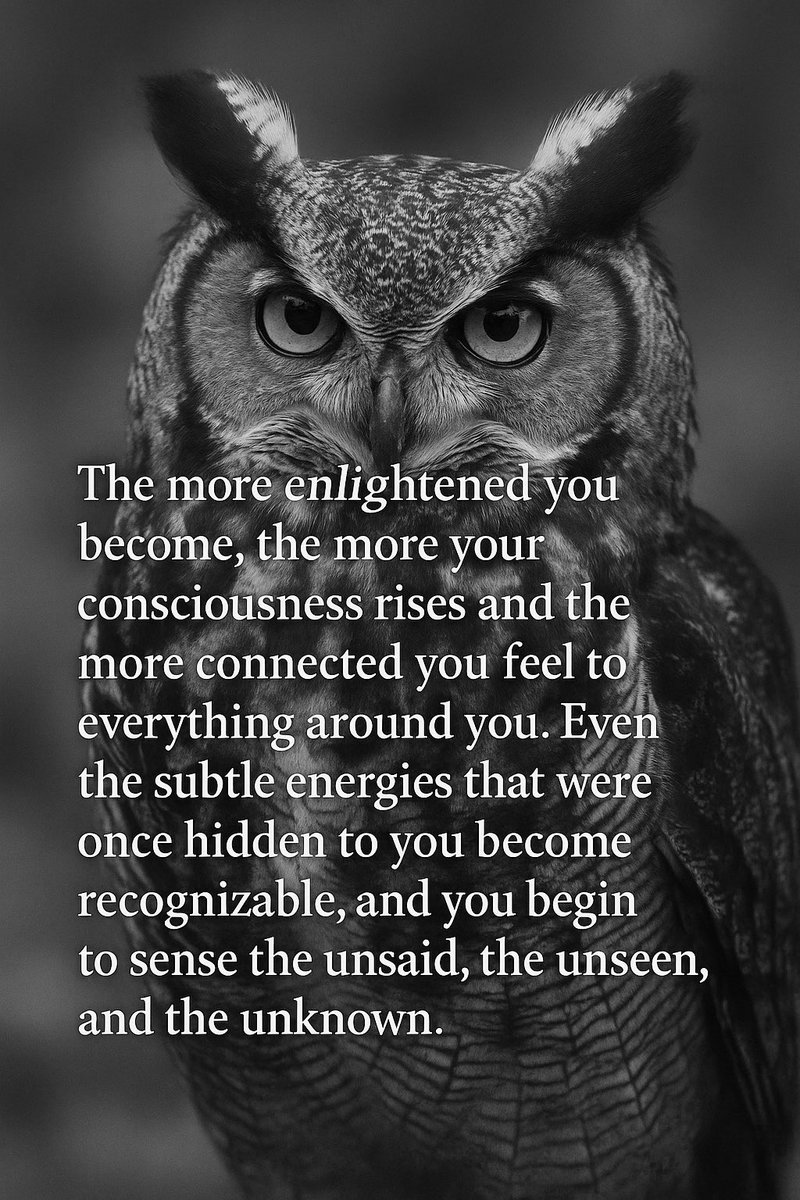 AlohaRL's tweet image. 