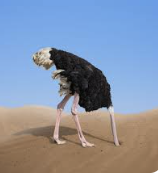 Happy Hump Day!Budget. talks stalks UK today with long delayed Labour budget coming out in force midday. All eyes on gilts and cable with increased uncertainty both in direction of uk economy but also in terms of Labours hold on the economy (did it even ever have it?)