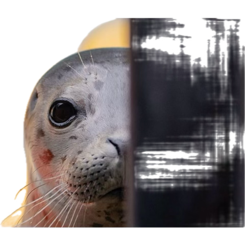 Hoping to cop on ps5