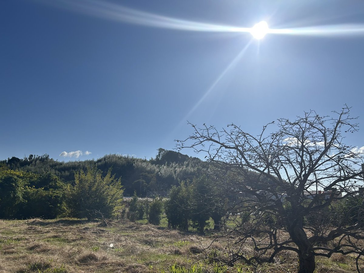 tanakatakeshi's tweet image. 今日は、蒲郡、岡崎方面にお邪魔させていただきました。

休憩で立ち寄ったスタバで、新作「スモアチョコレートフラペチーノ®︎」を試してみました。ダークモカと比べると、ちょっと甘いかな…🍫。

「秋のいろ　深まるやまに　急ぐ日々」

色々あった霜月ですが、まもなく師走です。

#質実剛健…