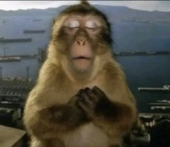 pinkcashcow's tweet image. I've been obsessed with this one song lately..