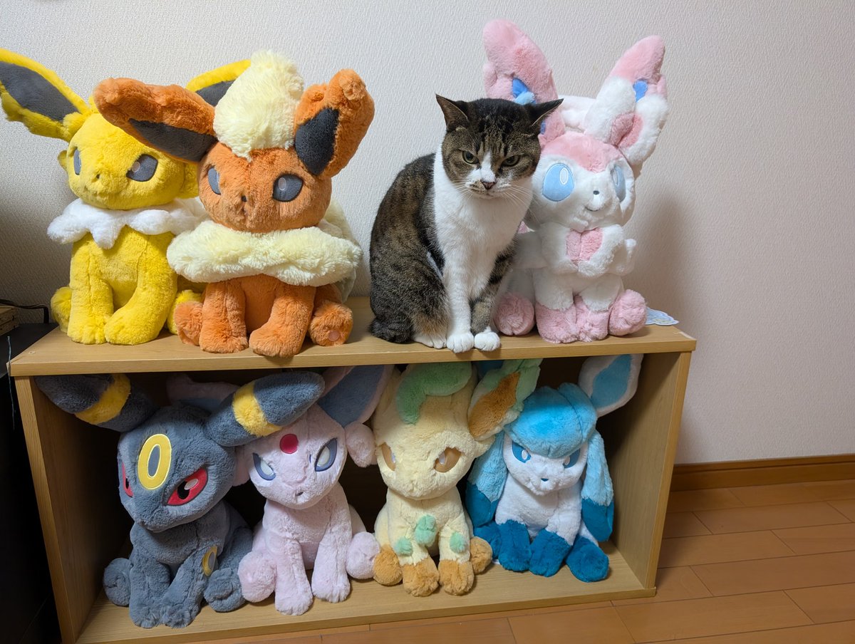 madao39088188's tweet image. シャワーズのぬいぐるみがなかなか手に入らないからコレでいいかな？🤔

でもこのぬいぐるみ 頻繁に歩き回るし別の場所でお昼寝してるから飾るの大変かも？w