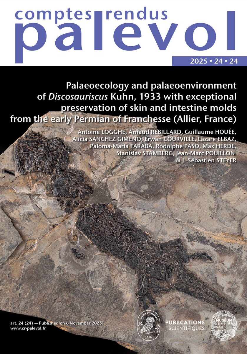 Rhinopolis tweet media