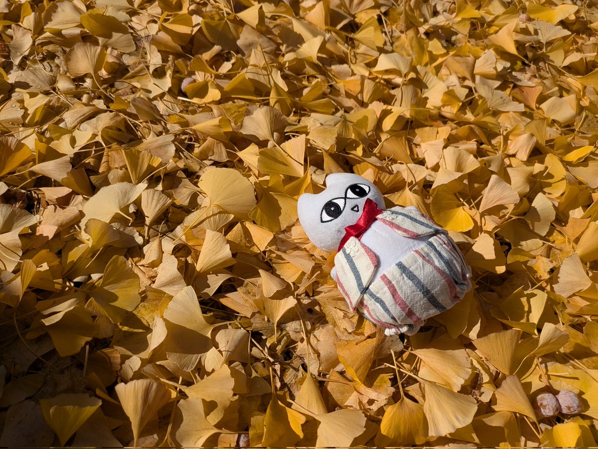 baraironokinu's tweet image. #のねりここ と
上野　#国立西洋美術館 へ
銀杏と青空が綺麗でした。