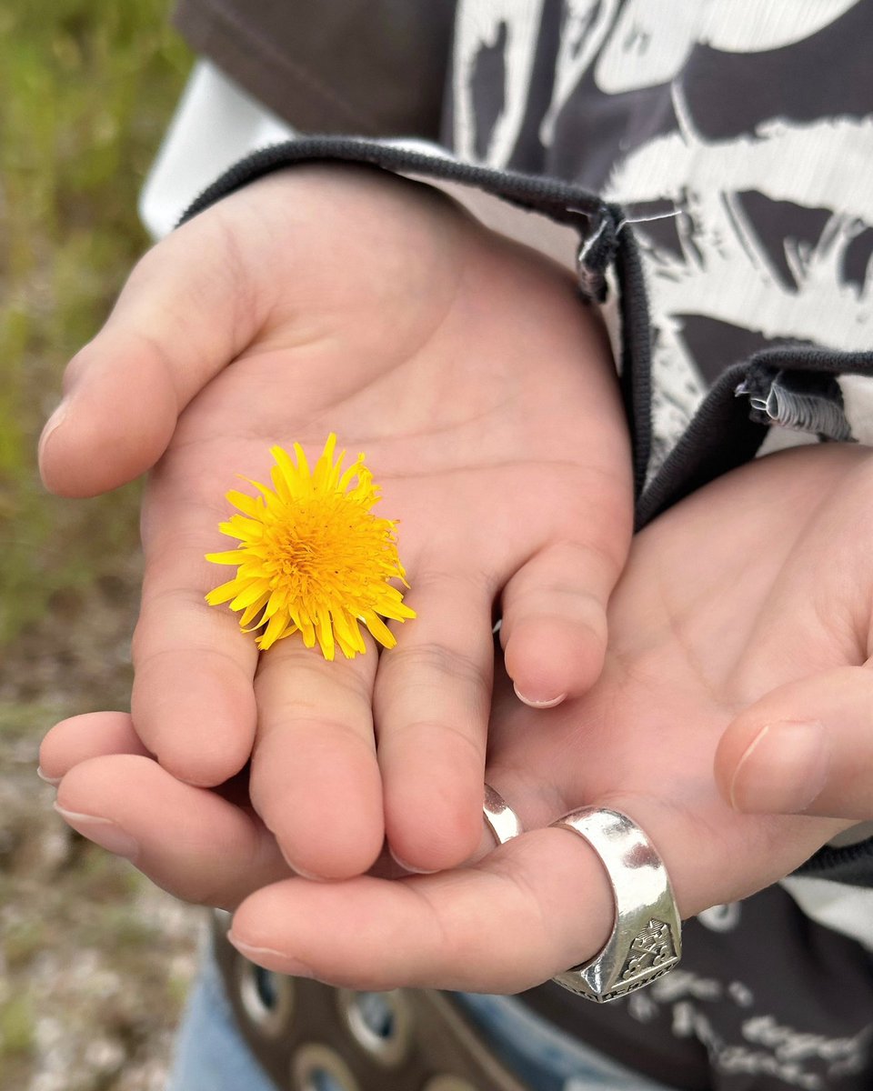 apieceofhrj__'s tweet image. มือน้อยๆๆกับดอกไม้ของเค้า สีเหลืองส้ะด้วย ฮือๆๆๆเอนดุฟ่ะ