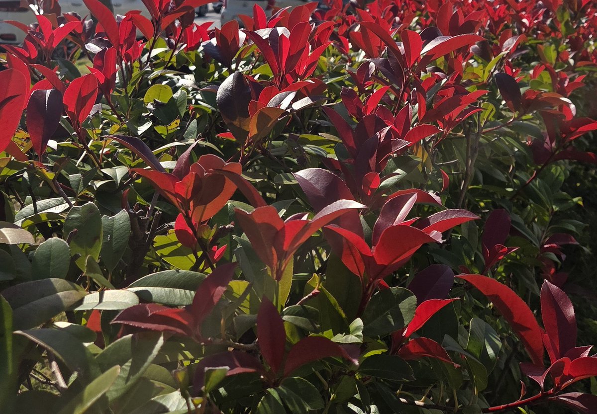 다들 걱정해줘서 몸은 아주 괜찮아요
가을이 좀만 더 길었으면 좋겠다