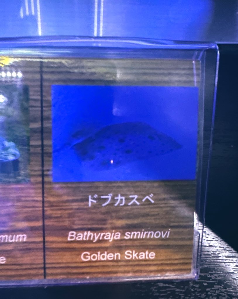 こさめ♡ 雨乃こさめ、受け、愛され - zeta