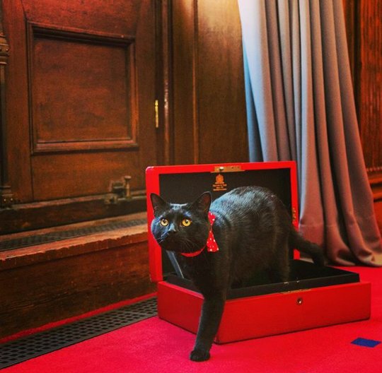 It's #budgetday today. Whatever happens, is nothing to do with me!