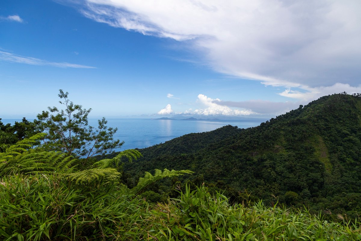 The world is changing, and with it, the way we invest must evolve. Dominica’s Citizenship by Investment Programme represents that change, bringing security to families, opportunities to children, and a lasting legacy. 
Find out more: cbiu.gov.dm
#Dominica #DominicaCBI