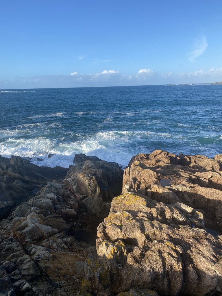 James Grant tweet media