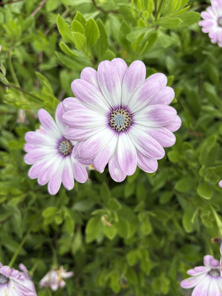 We’re still here.  Just fundraising for round two in the Caribbean.