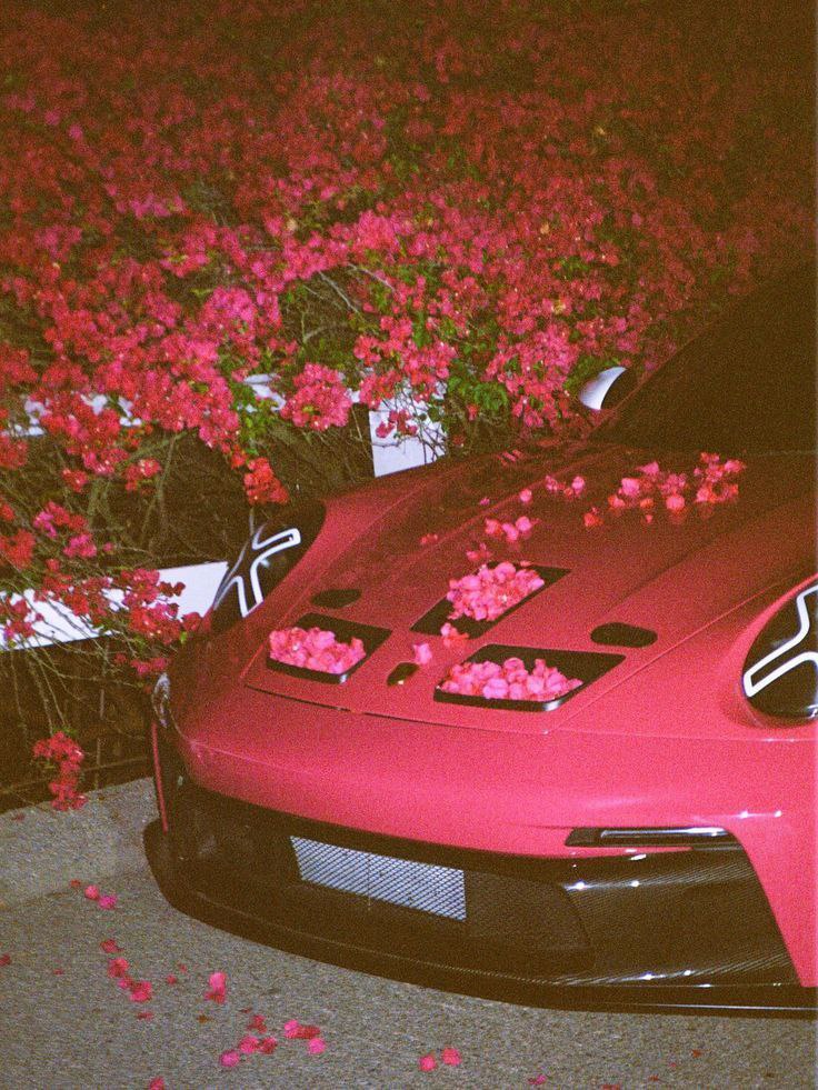 defi_duker's tweet image. GM CT 

 “Write what you wish you found when you started learning Web3.”
That’s my compass.

Can I get a GM back 
#ContentTips #GM