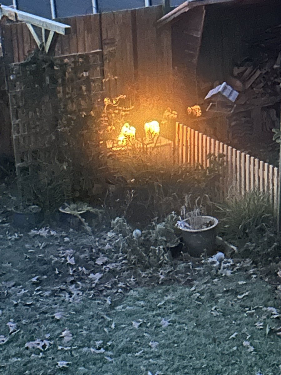 ailuj_40's tweet photo. Hard to believe it’s been a year since Dad died🙏🏼lit candles and said a few words. Slowly coming to terms with the loss of the best of you Dad, It wasn’t always rose tinted and that’s important to acknowledge🩶candles stayed lit all night✨ https://t.co/ZzuX77oFRI