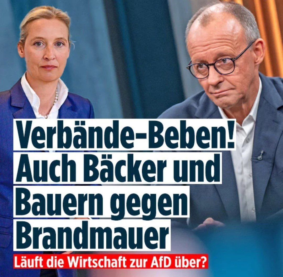 kripp_m's tweet image. Na endlich….‼️