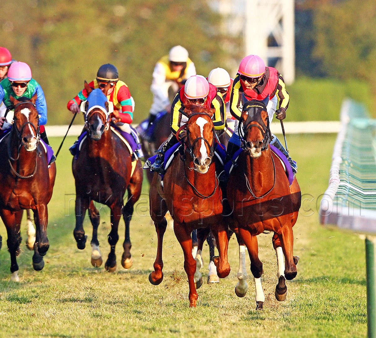 これが今まで生観戦した中ではダントツNo.1レース！👍 オルフェとの