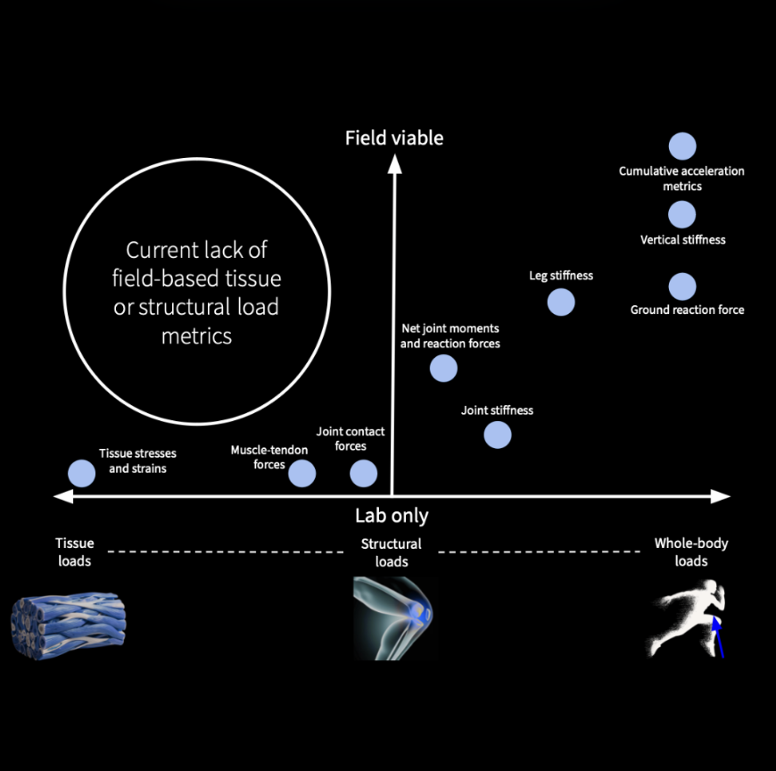 sciofmultispeed's tweet image. The Importance, Challenges, and Developments of Biomechanical Load Measurements in Multidirectional Sports

🔗 sciofmultispeed.com/the-importance…

FIGURE 2 | Overview of biomechanical load metrics. The feasibility of measuring various load metrics is indicated on the y-axis, and ranges from…