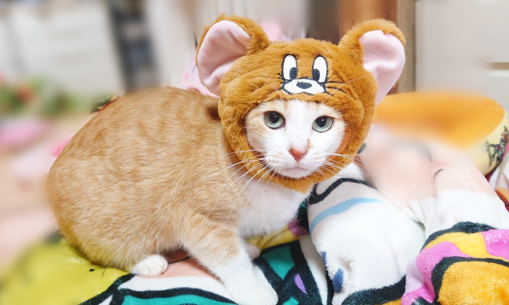 みちゃ✰ะ (@michapoyo222) / Posts / X