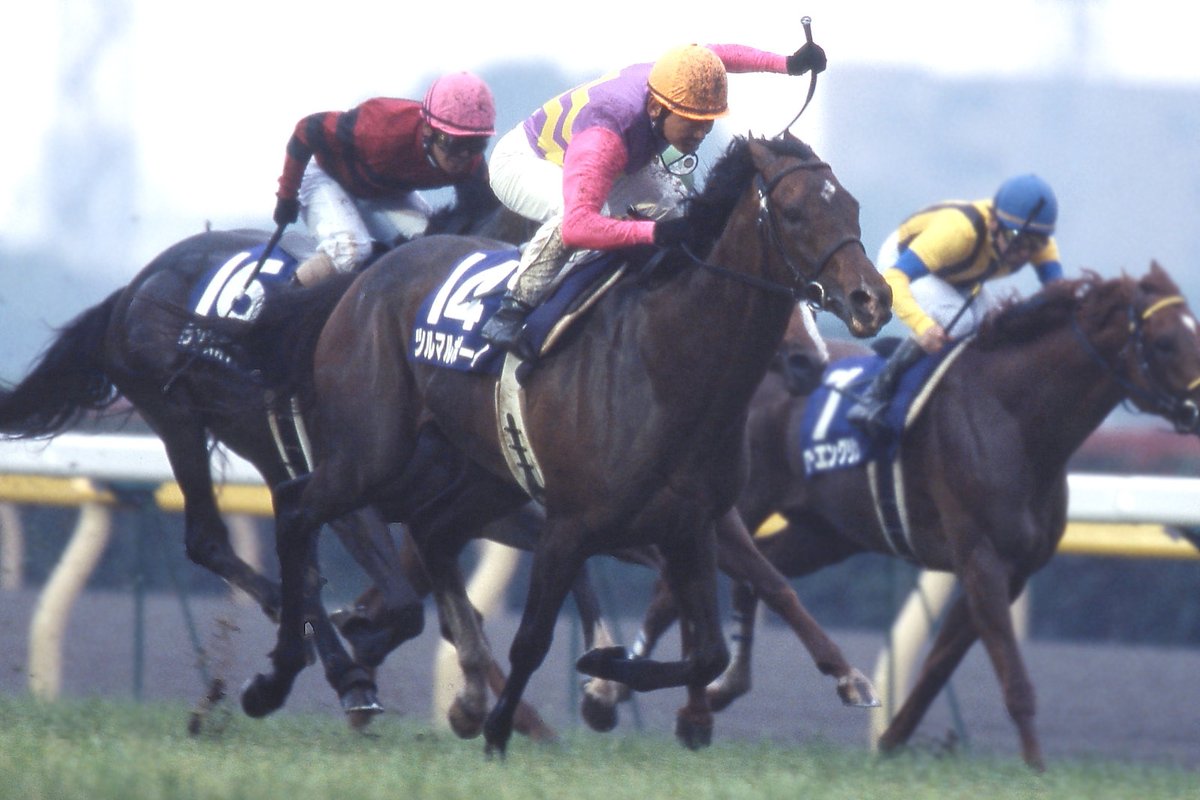 2004年の安田記念を制した #ツルマルボーイ が11月24日に27歳で