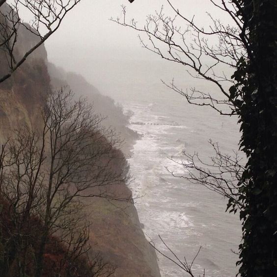 ancilladominii's tweet image. 