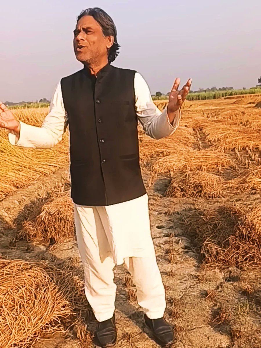 DilshadZKhan's tweet image. गाँव मे अपने खेत मे धान की फसल को देखते हुए दिल से सिर्फ एक ही आवाज़ आई धरती सुनहरी अंबर नीला हर मौसम रंगीला ऐसा देश है मेरा ! 
#dhaan #fasal #khet #dharti #amber #Village #instagram #facebook #followers #viralpic