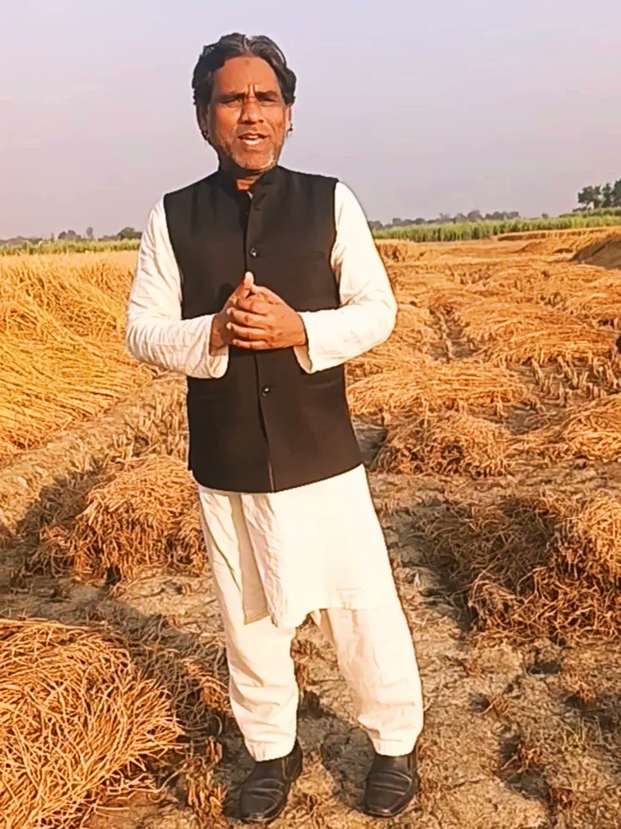DilshadZKhan's tweet image. गाँव मे अपने खेत मे धान की फसल को देखते हुए दिल से सिर्फ एक ही आवाज़ आई धरती सुनहरी अंबर नीला हर मौसम रंगीला ऐसा देश है मेरा ! 
#dhaan #fasal #khet #dharti #amber #Village #instagram #facebook #followers #viralpic