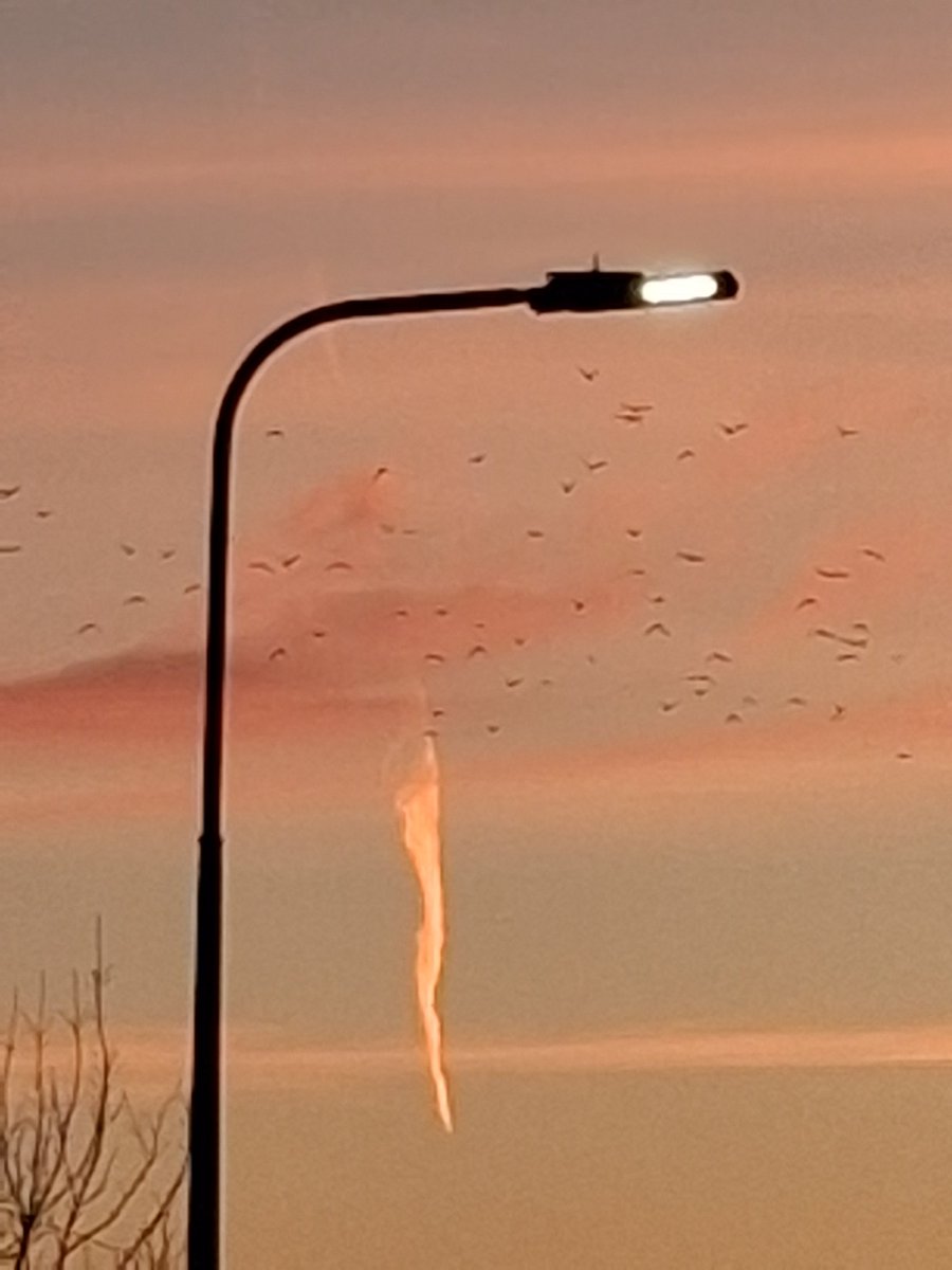 wigandolly's tweet image. Wigan 07:40