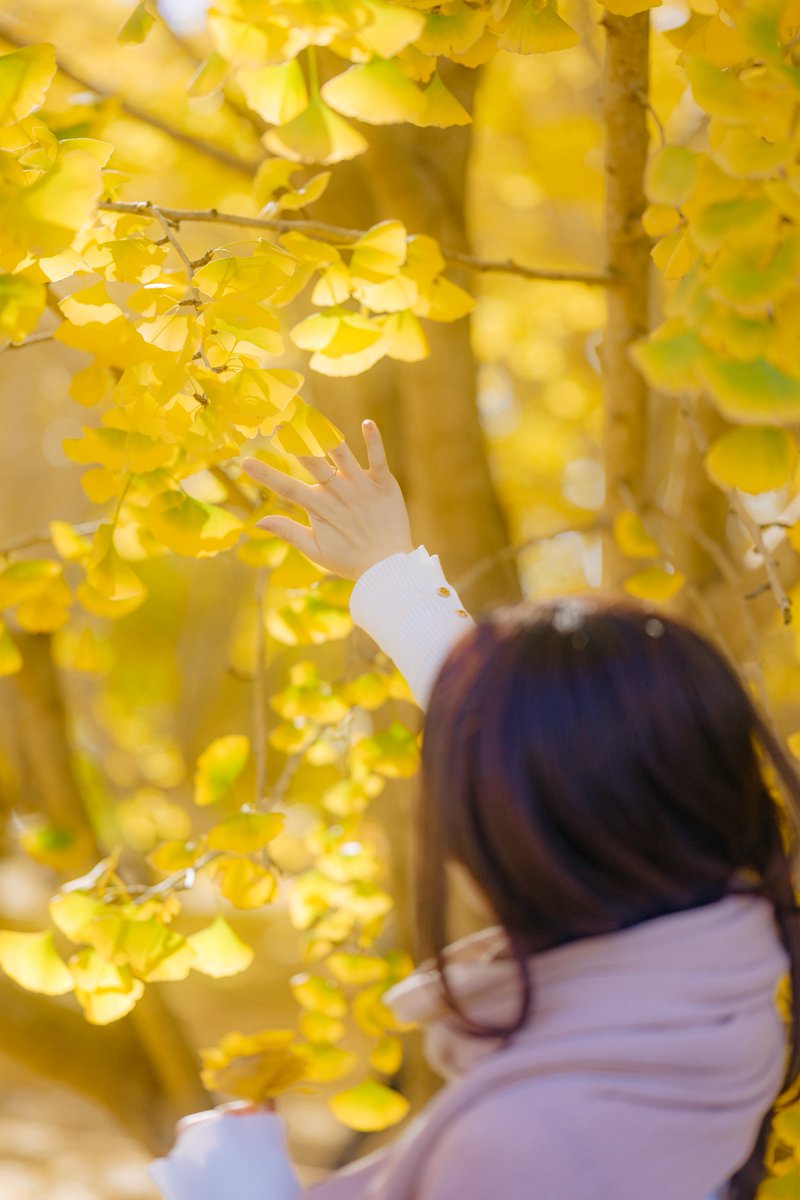 KOU (@greeeenpengin) / Posts / X