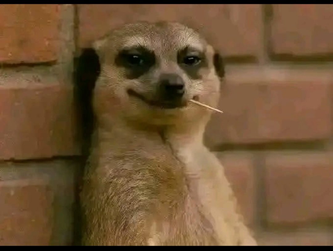 Amothermay's tweet photo. Your bank account watching  you make plans for detty december.
🤣🤣🤣🤣🤣🤣🤣🤣 https://t.co/5DWR572HSC