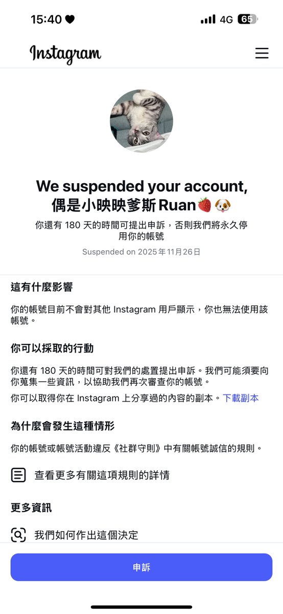 小映 Ruan tweet media