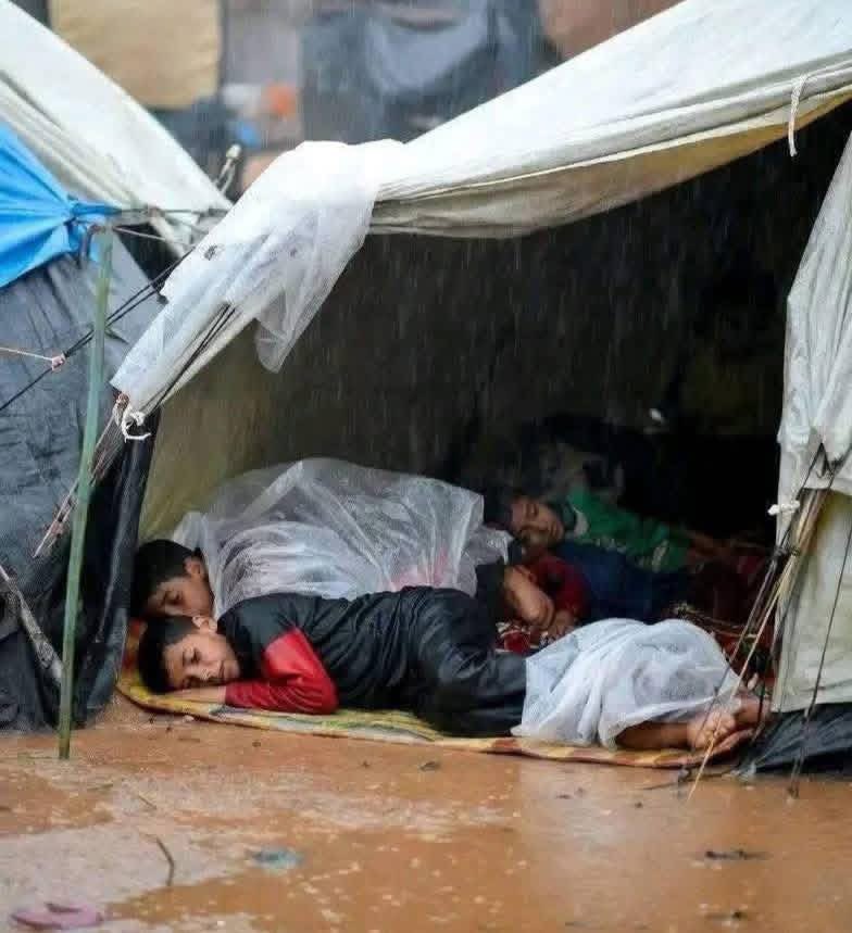 Dr_SaebGaza's tweet image. I&apos;m not asking for the impossible… a simple word is enough for me. But I won&apos;t forgive anyone who ignores my pain.

If you see this, leave even a dot

gofund.me/e3ae5efb