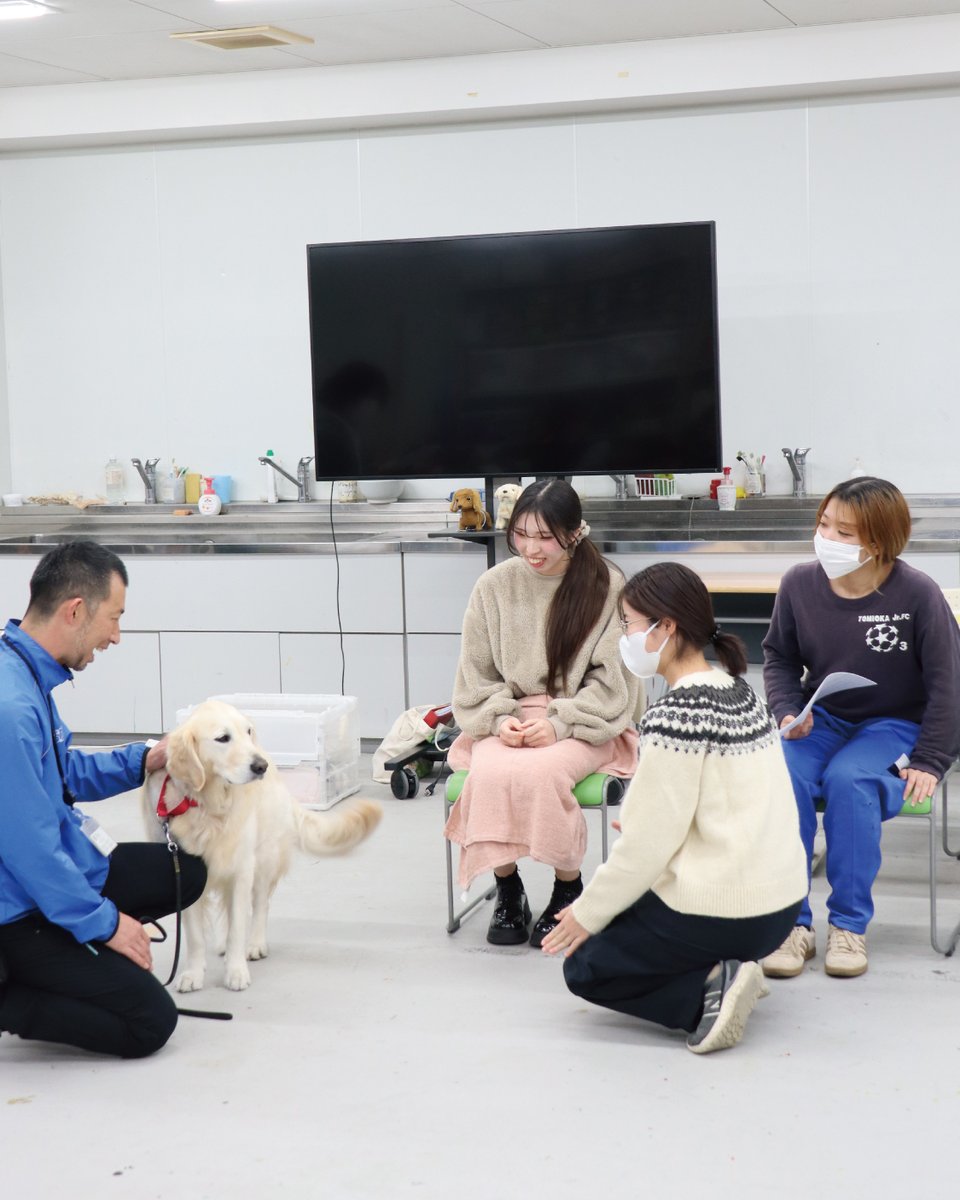 OhsuUniv's tweet photo. 兵庫介助犬協会のみなさんに協力していただき、犬と一緒に行う「動物介在療法」の授業を行いました！

学生たちは、自分で考えた“架空の対象者さん”に向けて、犬を使った5～10分のプログラムを実際に説明＆体験❗ https://t.co/F5t8Mw3fPj