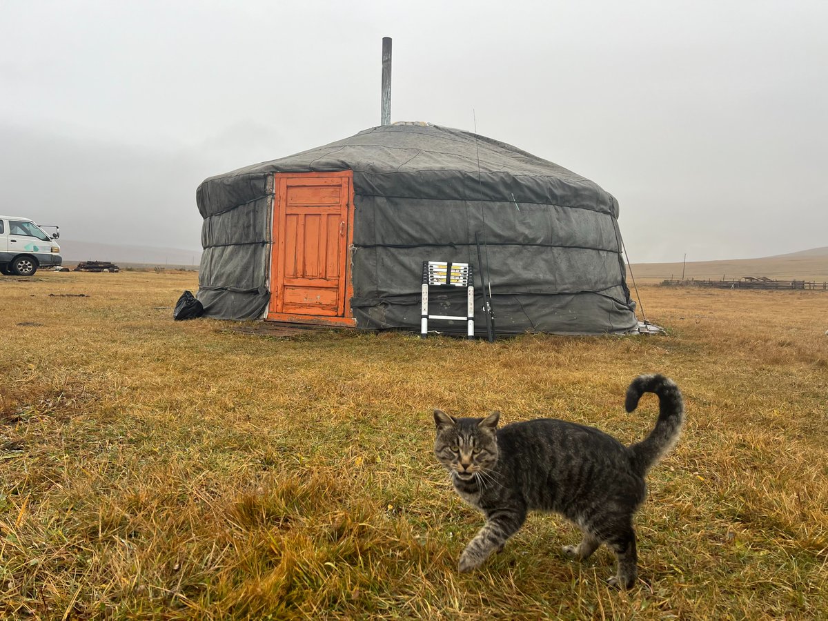 【福岡市限定】2023年製 アイリスオーヤマ 5.0kg 高年式 配送設置無料♬ アウトレットの通販│アイリスオーヤマ公式通販サイトアイリスプラザ