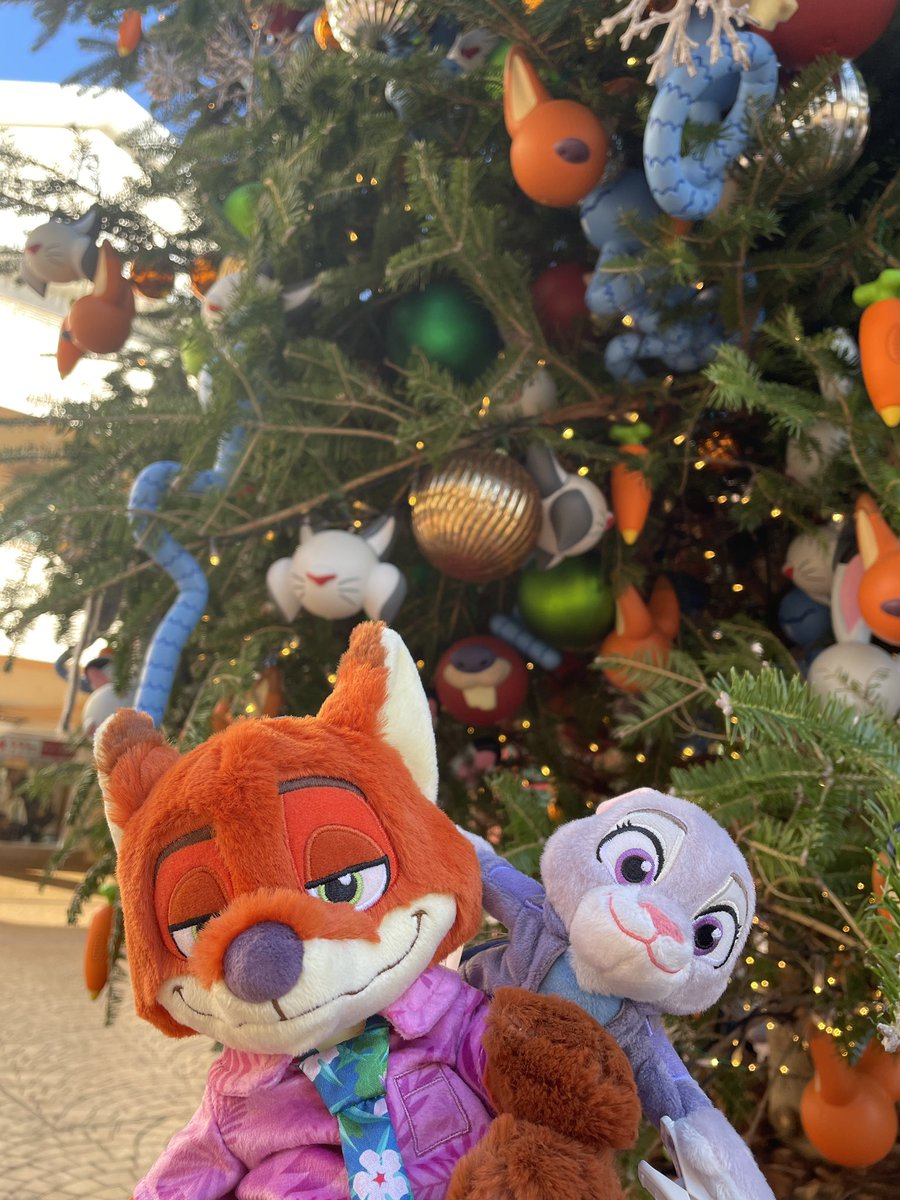 買えた✌トイざラスのみにたんのぬいばも無事ゲットー！🫶