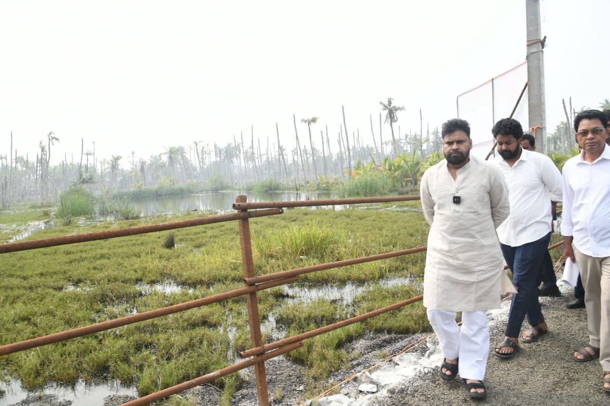 JanaSenaParty's tweet image. డా బి ఆర్ అంబేద్కర్ కోనసీమ జిల్లా శంకరగుప్తం మేజర్ డ్రెయిన్ పరిధిలో దెబ్బ తిన్న కొబ్బరి తోటలను పరిశీలించిన రాష్ట్ర ఉప ముఖ్యమంత్రి శ్రీ @PawanKalyan గారు