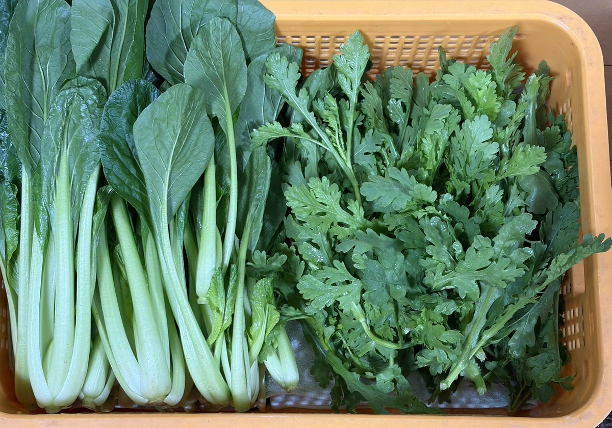 FJcATkTpnNAWGlw's tweet image. みなさまこんばんは🌆
今日もお疲れ様でした😊

素敵な夜をお過ごしくださいね☆

寒い日にいい風呂の日とのことあたたまってくださいね♨️