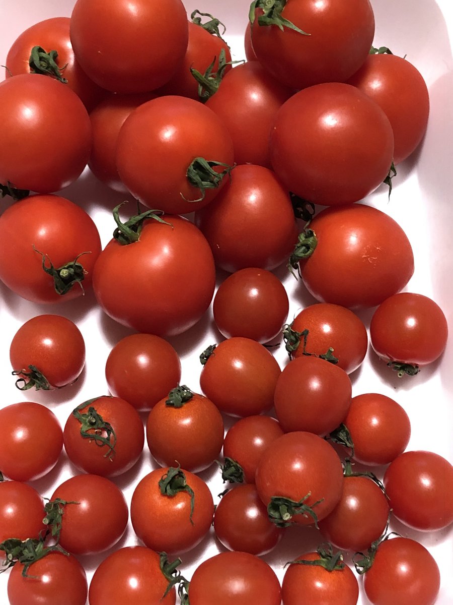 FJcATkTpnNAWGlw's tweet image. みなさまこんばんは🌆
今日もお疲れ様でした😊

素敵な夜をお過ごしくださいね☆

寒い日にいい風呂の日とのことあたたまってくださいね♨️