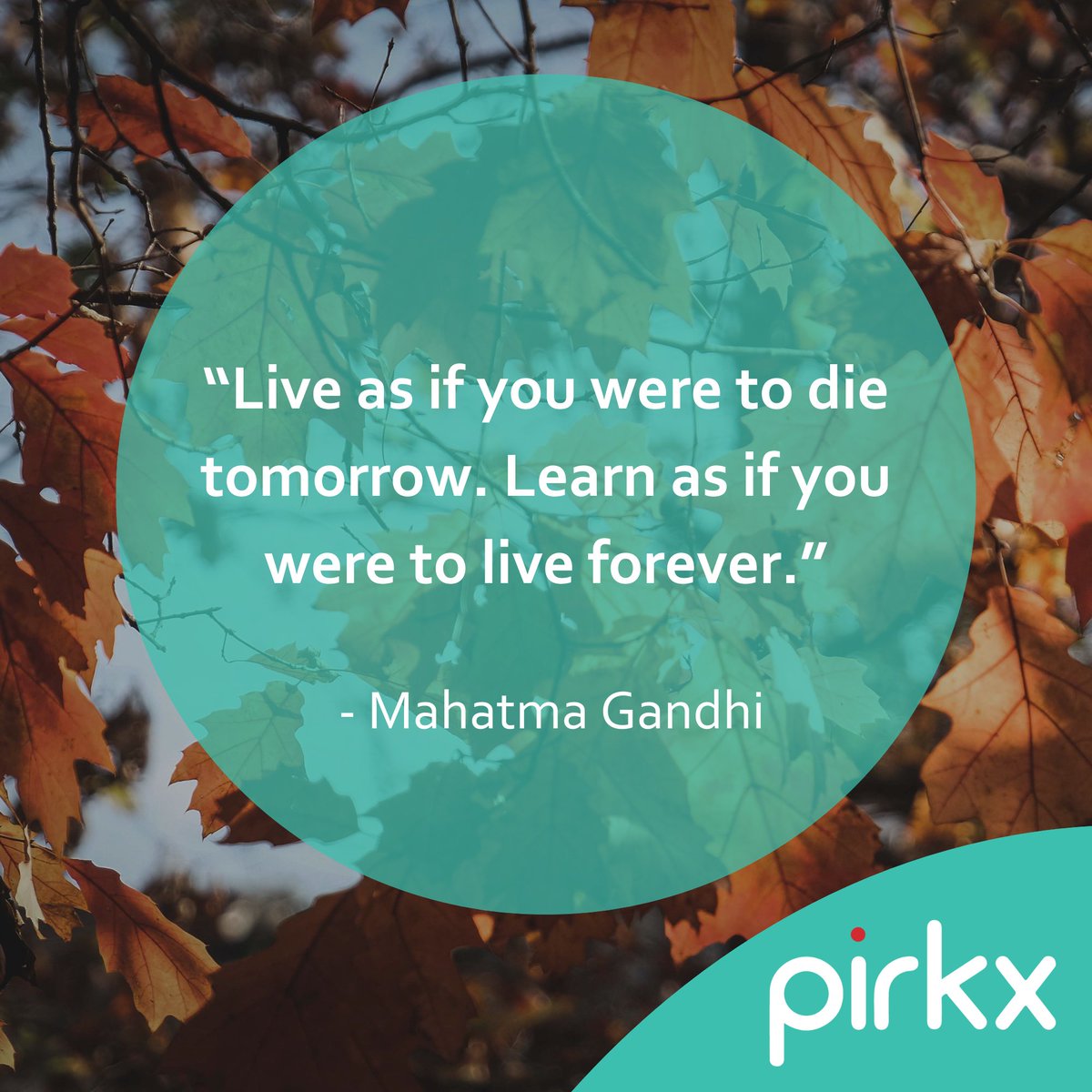 pirkx's tweet image. Wednesday Wisdom 26/11/25 🍁 

#Wellbeing #midweekmotivation #Improvements #pirkx