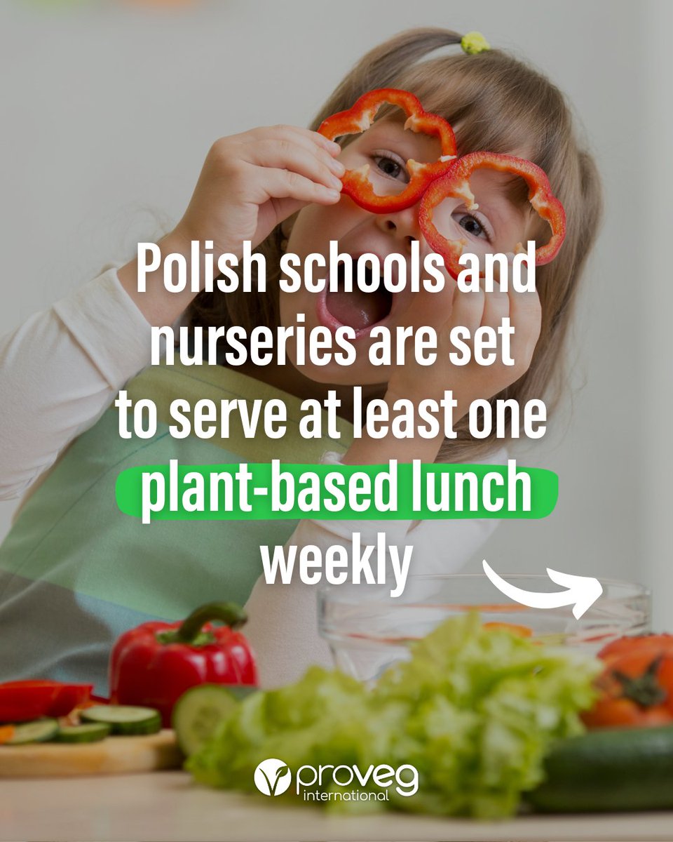 ProVeg_Int's tweet image. 📢 At least one fully plant-based, legume-based meal is set to be introduced in all Polish schools. 🌱

These changes would apply to more than 6.8 million children across 36,000 institutions nationwide 🎓

What do you think about these upcoming changes in Polish schools? 👇