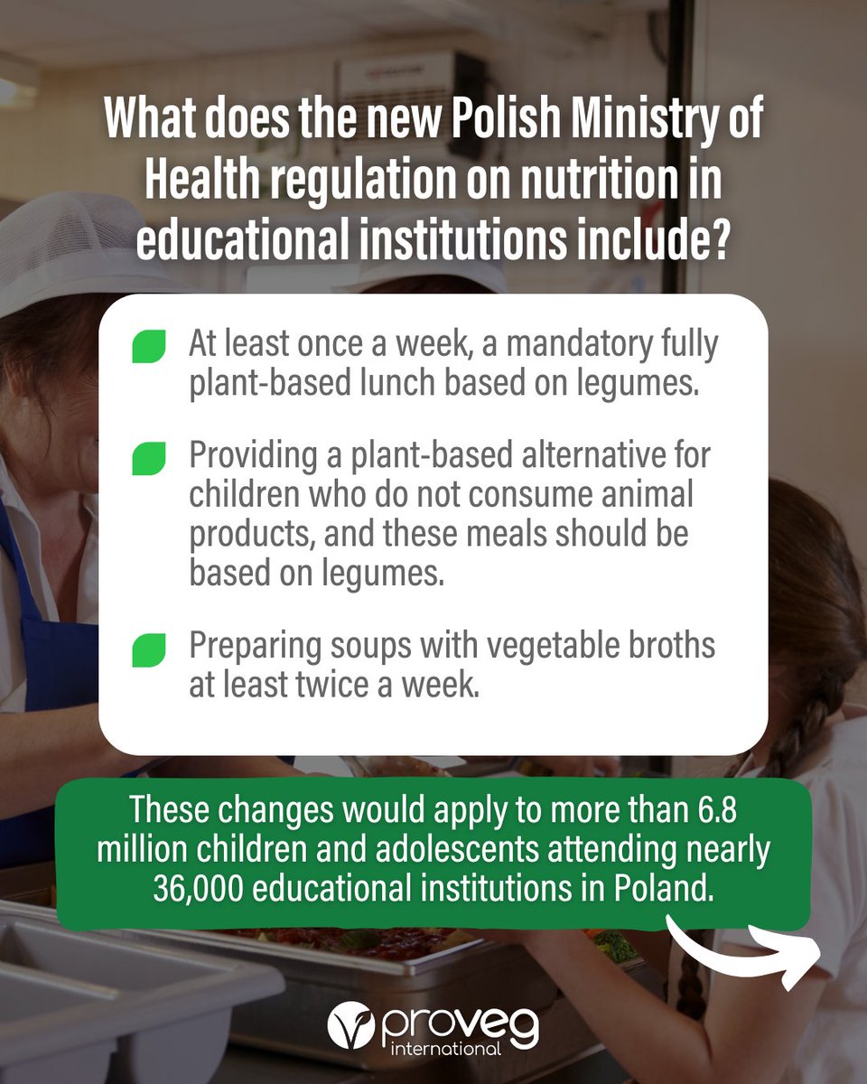 ProVeg_Int's tweet image. 📢 At least one fully plant-based, legume-based meal is set to be introduced in all Polish schools. 🌱

These changes would apply to more than 6.8 million children across 36,000 institutions nationwide 🎓

What do you think about these upcoming changes in Polish schools? 👇