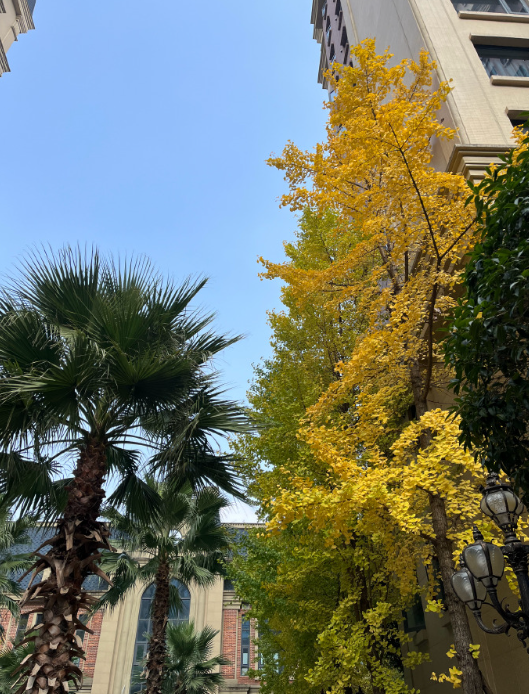 michell2609430's tweet photo. 生活真地
太不容易
好好爱自己
坚强 
温柔
永远乐观
永远向阳 #LibertyCatNFT https://t.co/mLDBFbfY6n