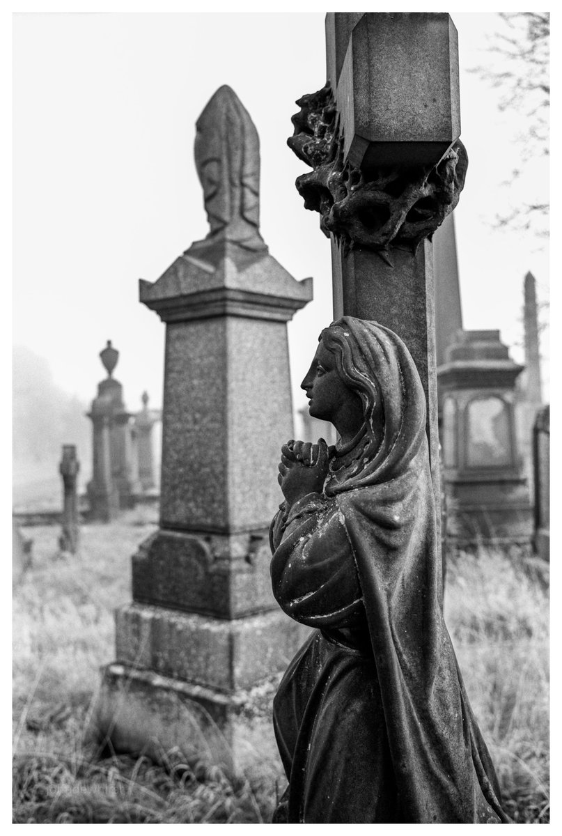 johndewhirst tweet media