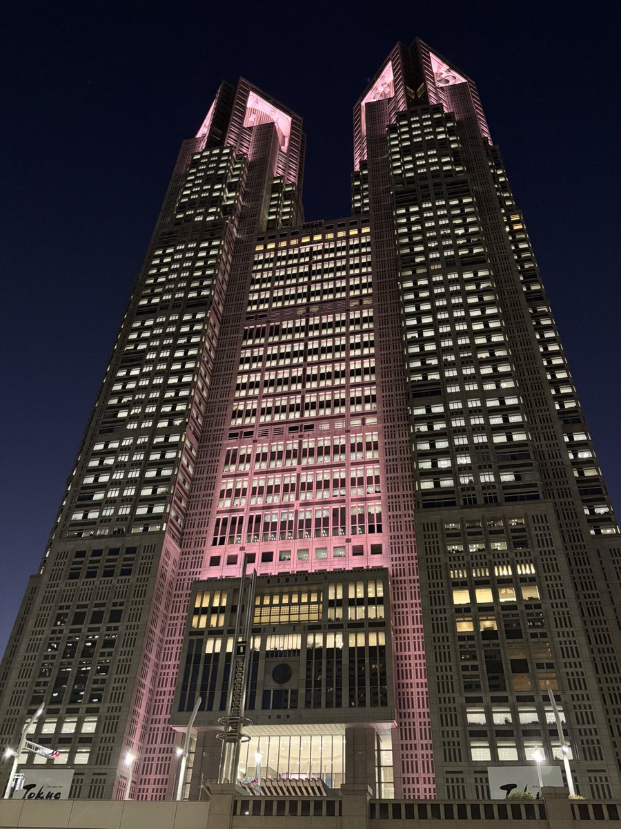 n4t2f's tweet image. せっかく来たから5時半からのプロジェクションマッピングを観て帰る😊