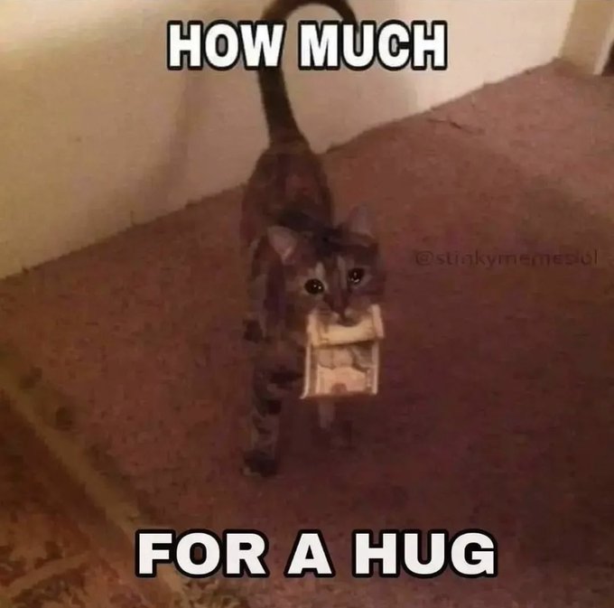 SyntacksVT's tweet image. How much?