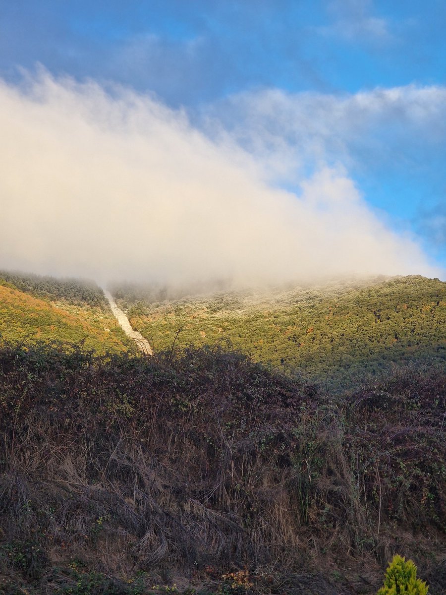 Buenos día!! Nos levantamos con #frio y algunas #heladas en zona de montaña, ya podéis ver el paqueton que ha caído en los pirineos!!! Para el domingo se espera de nuevo nuevas #nevadas!!!!